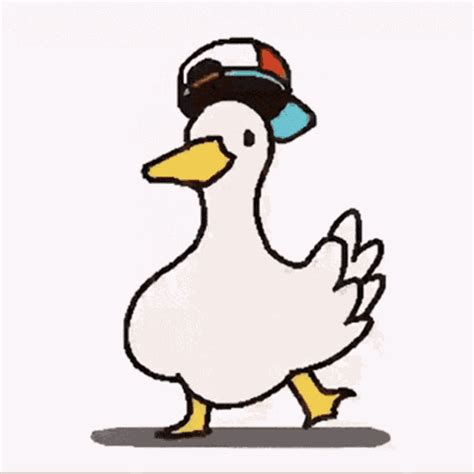 duck gifs|duck gif transparent.